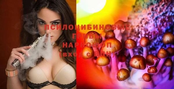 тгк Заводоуковск